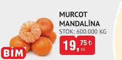MURCOT MANDALİNA MURCOT MANDALİNA
